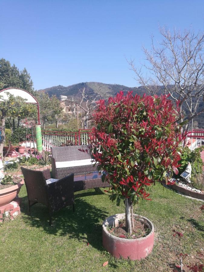 Villa Pellegrino
